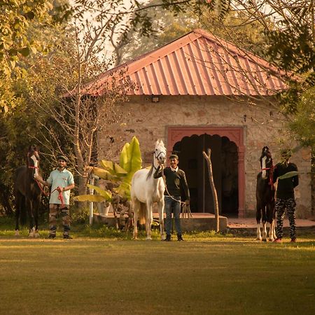 Maa Ashapura Resort サワイ・マドプール エクステリア 写真