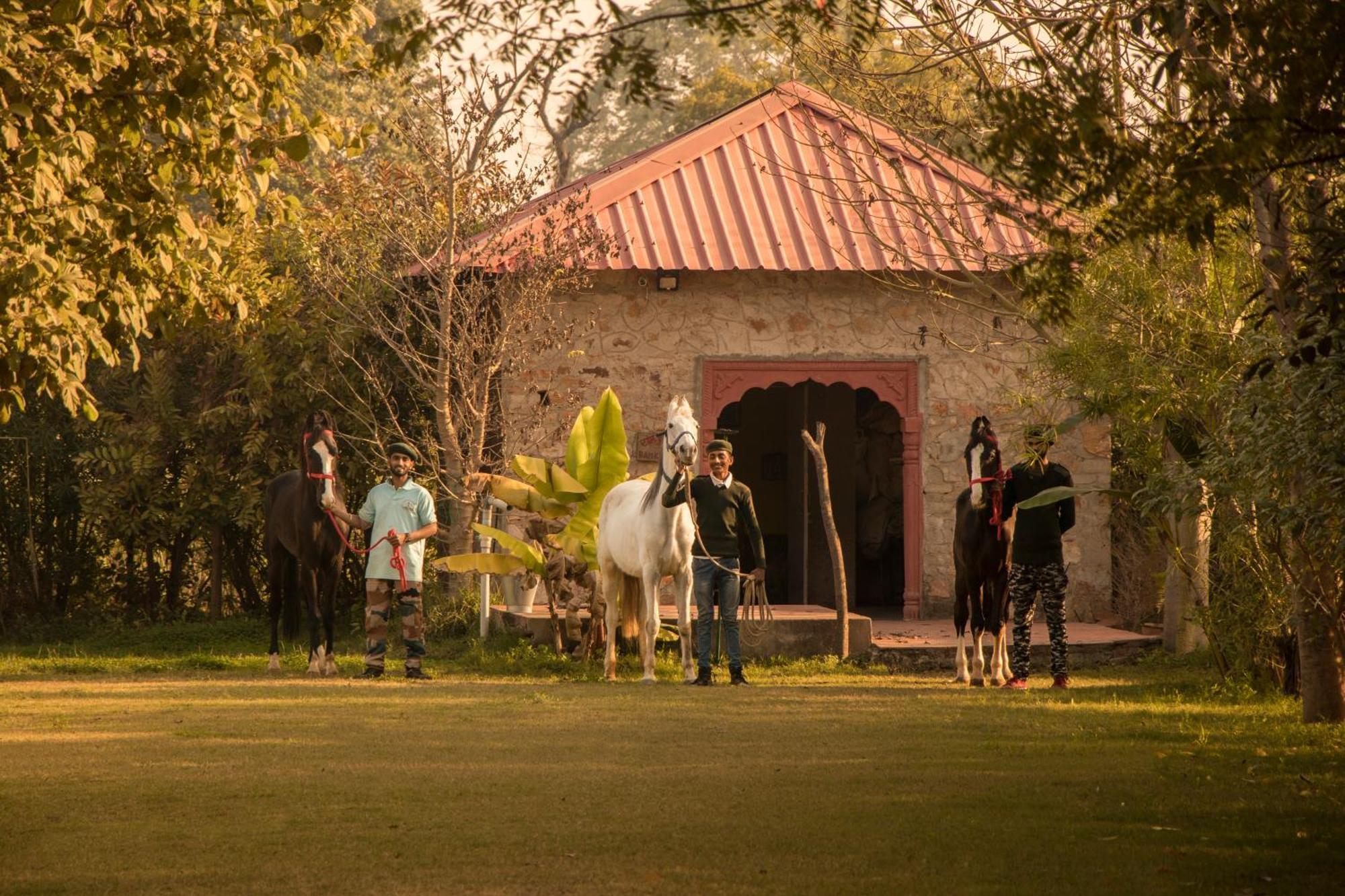 Maa Ashapura Resort サワイ・マドプール エクステリア 写真