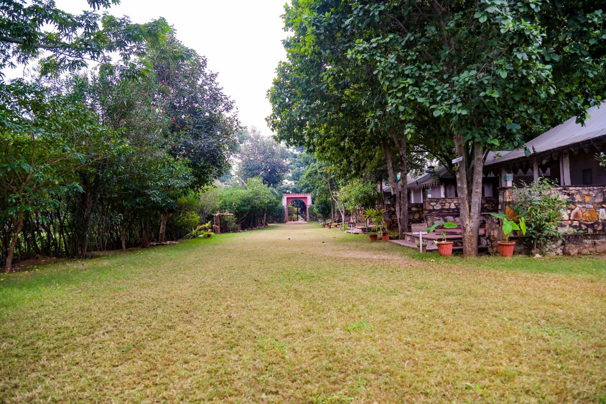 Maa Ashapura Resort サワイ・マドプール エクステリア 写真